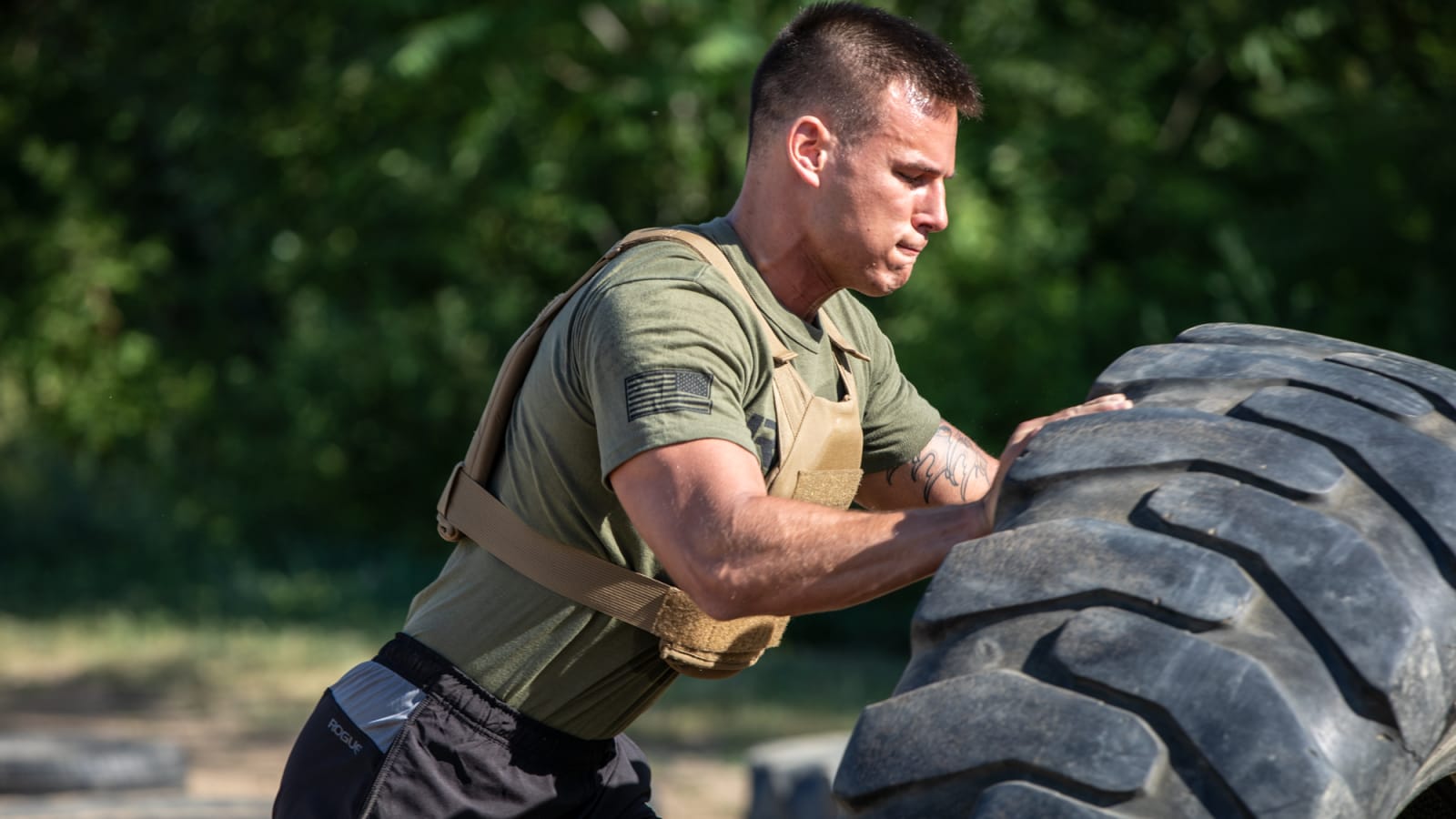 Rogue fitness hotsell condor plate carrier